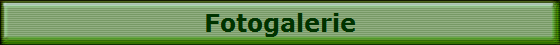 Fotogalerie